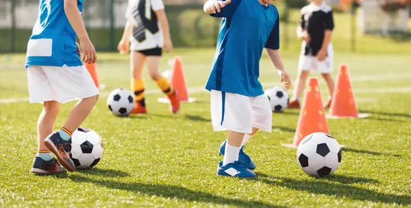 体育博彩高手月入十万的奥秘：数据驱动与纪律的艺术