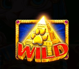 埃及神猫：探寻古埃及的未解之谜